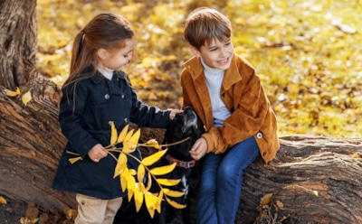 Осень в школе: как уберечь ребенка от вирусов — закаливание, гигиена и правильное питание