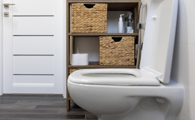 Чтобы унитаз блестел: проверенные средства чистки «фарфорового коня» — эффективная борьба с грязью