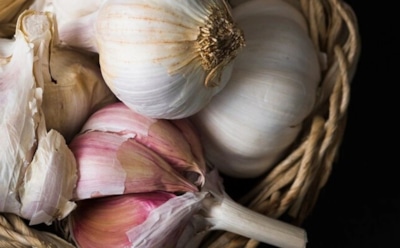 Грядки больше не нужны: оригинальный способ выращивания чеснока — богатый урожай гарантирован