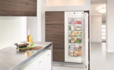 Если место в холодильнике заканчивается: как выбрать морозильный шкаф — советы по типам и параметрам