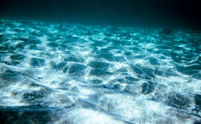 Находки в океанских глубинах: возможный источник зарождения жизни — уникальные открытия ученых