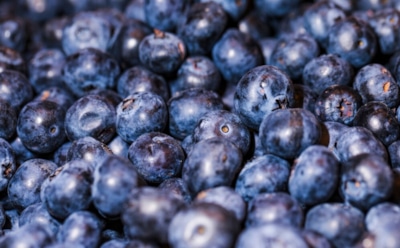 Черничная забота: ягода помогает укреплению кишечника — исследования подтверждают эффективность