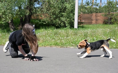Квадроберы бросаются на россиян и кусают детей: чем опасна новая субкультура и что говорят в Госдуме