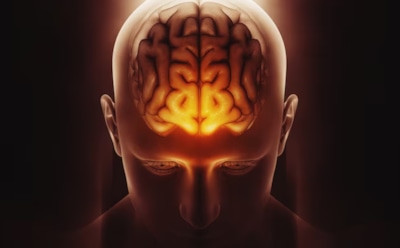 Мозг и классификация событий: как происходит структурирование памяти — роль личного опыта в восприятии