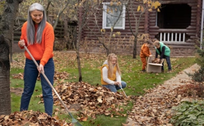 Оставьте сад без уборки осенью: почему не стоит вычищать участок — польза опавших листьев и веток