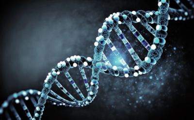 Таблетка вместо спортзала: учёные создали молекулу, запускающую эффекты тренировки и голодания