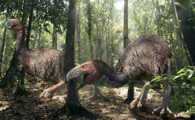 Новые хищные птицы времен динозавров: загадочные пернатые охотники — раскопки в США раскрыли их тайны