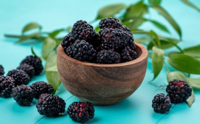 Обеспечьте обильный урожай ежевики на вашем участке: секреты правильного ухода — от посадки до защиты растений