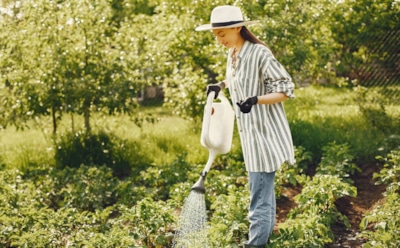 Аптечные препараты саду в помощь: доступные и дешевые средства защиты растений — эффективные рецепты