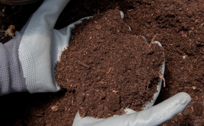 Как правильно использовать торф: улучшение почвы без вреда — советы для огорода и рассады