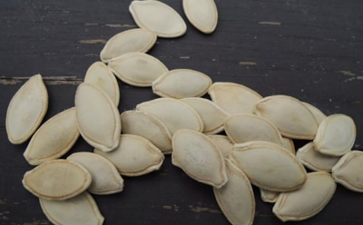 Подготовка тыквенных семян: правильный выбор и обработка для хорошего урожая — советы опытных садоводов