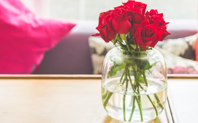 Новая жизнь роз из букета: простые шаги для выращивания цветка дома — советы и рекомендации