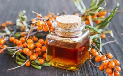 Облепиховое масло: защита кожи и волос, поддержка иммунитета — польза для организма