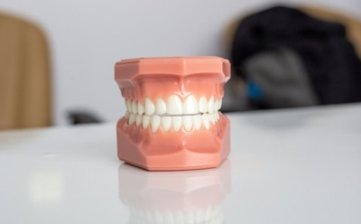 Механический рот: французские ученые разработали уникальное устройство — новый шаг в пищевых исследованиях