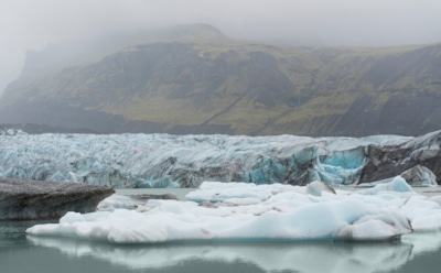 Озеленение Антарктиды: естественный процесс или угроза — климатолог объясняет изменения на континенте