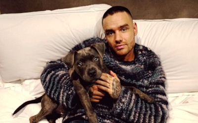 Галлюцинации, предательство и бессердечное равнодушие: что свело в могилу 31-летнего Лиама Пейна