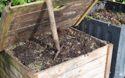 Что добавить в компост: полезные советы для вашего сада — простые правила для богатого урожая