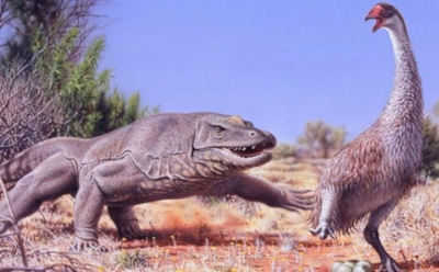 Сосед динозавров: в США найдено млекопитающее эпохи ящеров — болотный житель из Колорадо