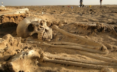 Уникальная находка в Германии: раннекельтская погребальная камера — дубовая конструкция и древние артефакты