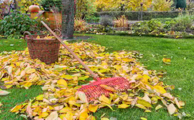 Осенняя защита сада: безопасные методы обработки — натуральные средства и уход за почвой