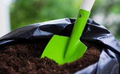 Природное удобрение с эффектом: как применять куриный помет без риска — советы для огорода и сада