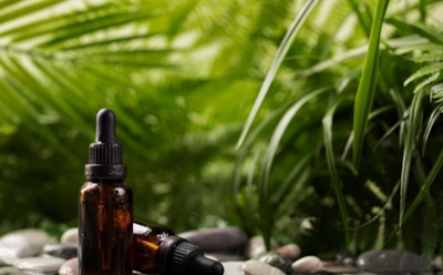 Фитокомпоненты в уходе за кожей: какие растения использовать для разных типов — от алоэ до календулы