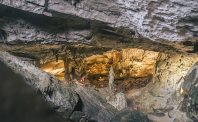 Древнейшее использование лечебных трав: в Марокко найдены следы эфедры — 15-тысячелетняя практика медицины