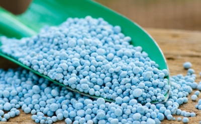 Как сохранить минеральные удобрения зимой: советы для правильного хранения — чтобы не испортились до весны