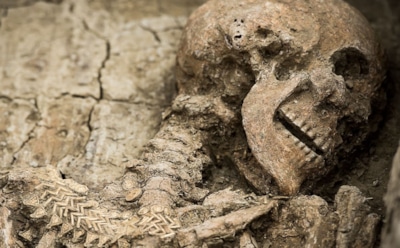 Мистическая находка в Бельгии: скелет из костей разных эпох — древний ритуал или случайность