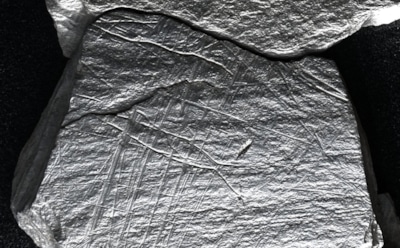 Древние рисунки у Рейна: искусство и рыболовные традиции людей 15800 лет назад — рыба в сетях