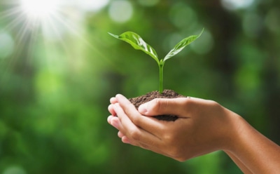 Первая база геномов полезных растений в России: проект Алтайского госуниверситета — важный шаг для генетики и селекции