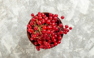 Калина и ее свойства: природный антибиотик и витаминный коктейль — польза и применение в народной медицине