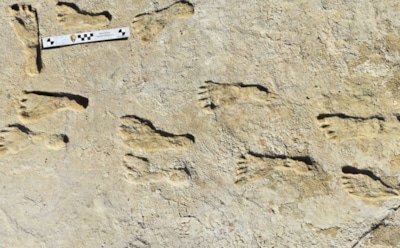 Уникальная находка на Алтае: следы двух подвидов древних людей — взаимное сосуществование и артефакты