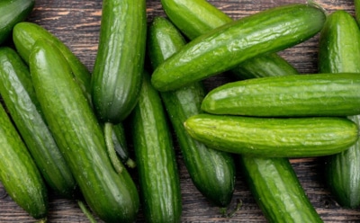 Секрет свежих огурцов: простые советы по хранению — как сохранить хруст и витамины дольше