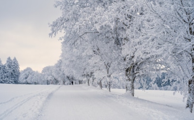 Погода на Новый год: чего ждать от природы в декабре 2024-го