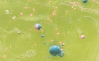 Бактерии против пластика: новая технология для экологии — инновация от ученых Южной Кореи