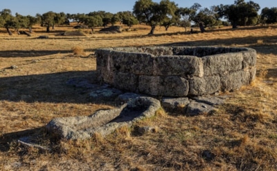 Древняя могила в Швеции: таинственная женщина и обгоревший нож — открытие археологов