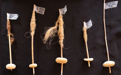 Древняя галька в форме колеса: уникальные артефакты из Израиля — новые открытия об истории прядения