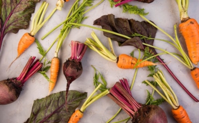 Сладость в каждом корнеплоде: секреты выращивания сочной свеклы и моркови — советы опытных огородников