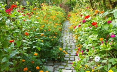 Ленивый сад на даче: растения, которые украсят участок без хлопот — идеальный выбор для отдыха