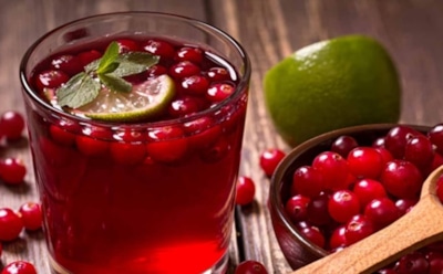 Старинный рецепт здоровья и вкуса: готовим брусничный сбитень — пряность в каждом глотке