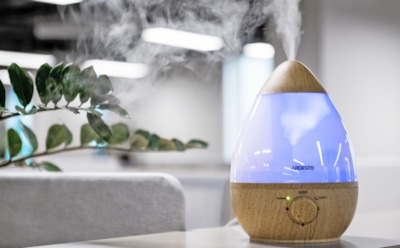 Зачем увлажнять воздух в помещении зимой: влияние сухости на здоровье — проблема и последствия