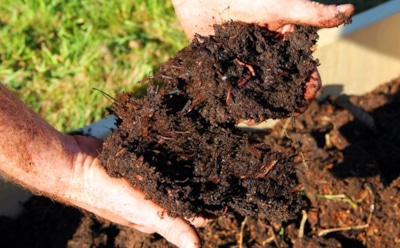 Как обогатить землю на участке: советы по восстановлению плодородия — простые методы