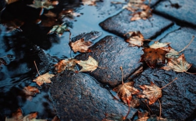 Осенние капризы погоды: как влажность и температура обманывают ощущения — причины и факты