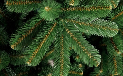 Елочка из пластика в гости к нам пришла: как выбрать искусственное новогоднее дерево — безопасность и долговечность