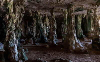 «Фабрика» неандертальского клея: уникальное открытие в пещере Вангард — технологии древних гоминидов