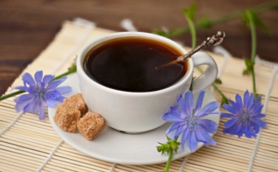 Цикорий как альтернатива кофе: для стройности и иммунитета — польза для здоровья и противопоказания