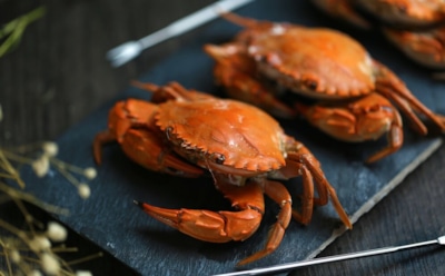 Варка живых крабов негуманна: исследование подтверждает их способность чувствовать боль — призыв к изменению законов