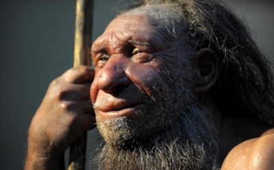 Неизвестный вид древних людей: находка в Китае изменяет взгляд на эволюцию — гоминиды с большими головами