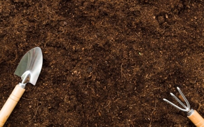 Земля станет мягче пуха: простые советы помогут добиться рыхлости от грунта — методы повышения плодородности почвы